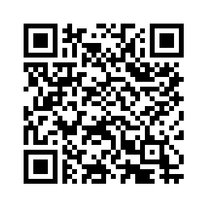 QR-Code Mini-ICF